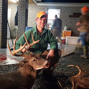 USA Hunting White-tailed Deer