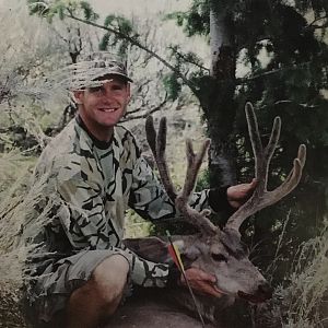 Bow Hunt Mule Deer in USA