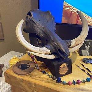 Bronzed Warthog Skull Mount