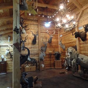 Trophy Room