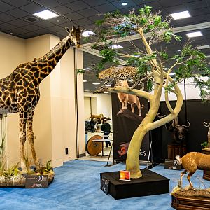 Safari Club International Convention 2020