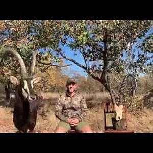 Tsala Safaris Intro to Sable Hunting
