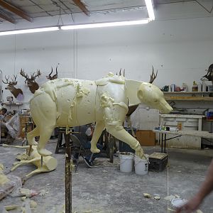 Behind the Scenes: Bear Mount