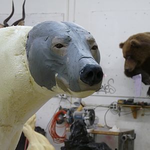 Behind the Scenes: Bear Mount