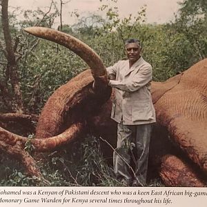 Elephant Hunting Kenya