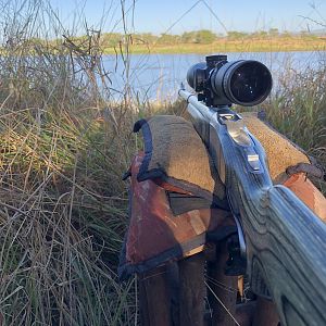 Ruger No 1 in 375 H&H on 2018 Hippopotamus hunt