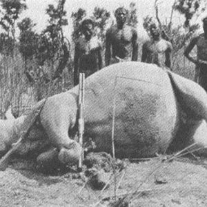 Rhino Hunting Denis D. Lyell
