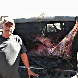 Wild animal meat delivered to the locals