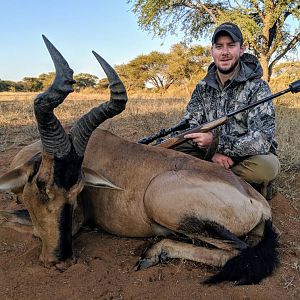 Hunting Red Hartebeest in South Africa