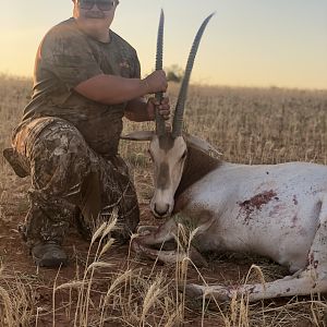 Hunting Scimitar Oryx in Texas USA