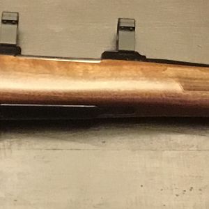 CZ 550 in 7x57 Rifle