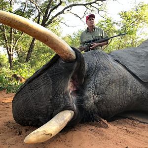 Zimbabwe Hunt Elephant