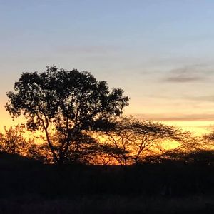 Sunset in Zimbabwe