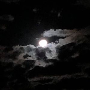 Full Moon Zimbabwe