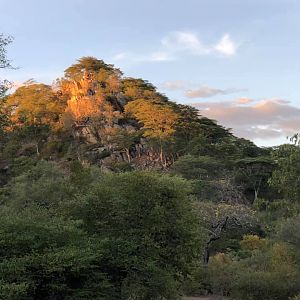 Hunting Area in Zimbabwe