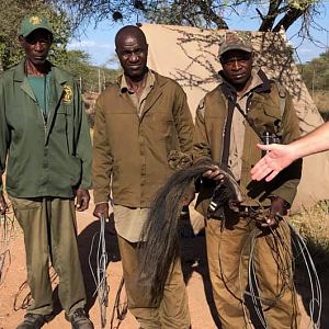 Anti-poaching Patrols