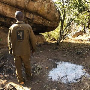 Anti-poaching Patrols Zimbabwe