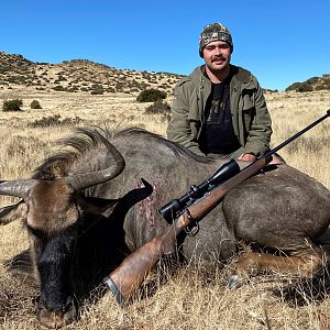 Blue Wildebeest Hunt South Africa