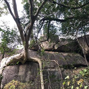 Fantastic scenery from Marula district in Zimbabwe