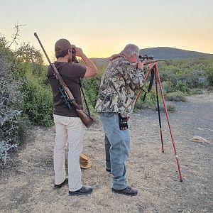 Hunting Roan in South Africa