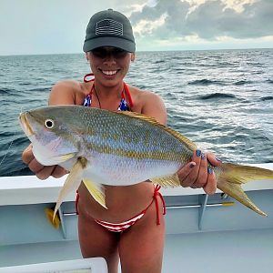 Yellowtail Snapper Fishing Florida Keys USA