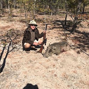 Warthog Hunt Zimbabwe