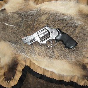 Trail Boss S&W Revolver in 44 Magnum