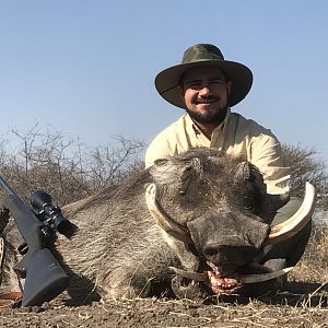 Warthog Hunting South Africa