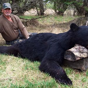 Manitoba Canada Hunting Black Bear