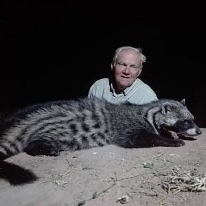 Civet Hunting Sunset Safaris