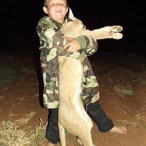 Caracal Hunting Sunset Safaris