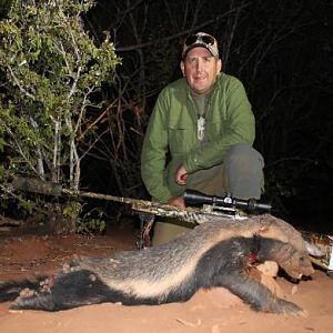 African Honey Badger Hunting Sunset Safaris