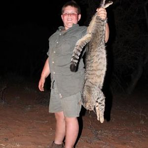 African Wildcat Hunting Sunset Safaris