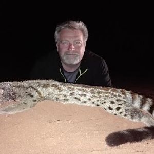 Genet Cat Hunting Sunset Safaris