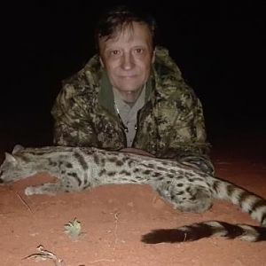 Genet Cat Hunting Sunset Safaris