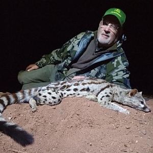 Genet Cat Hunting Sunset Safaris