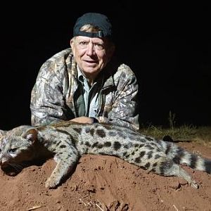 Genet Cat Hunting Sunset Safaris