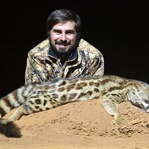 Genet Cat Hunting Sunset Safaris