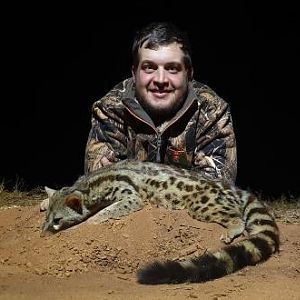 Genet Cat Hunting Sunset Safaris