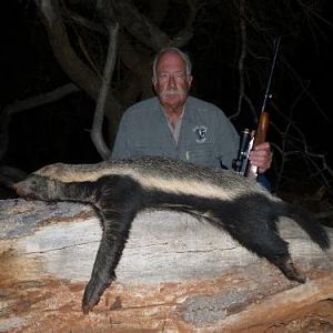 African Honey Badger Hunting Sunset Safaris