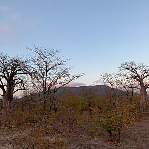 Hunting Area in Zambia
