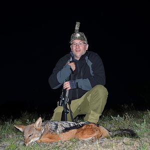 South Africa Hunting Jackal