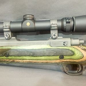 375 Ruger Rifle