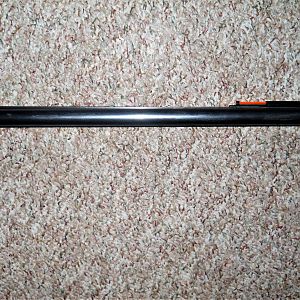 Browning BSS Sporter in 20 Ga Shotgun