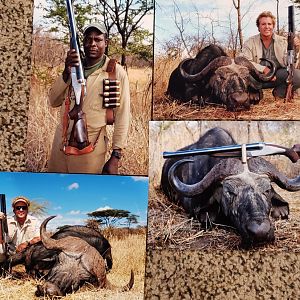 Buffalo Hunt with Big Bore