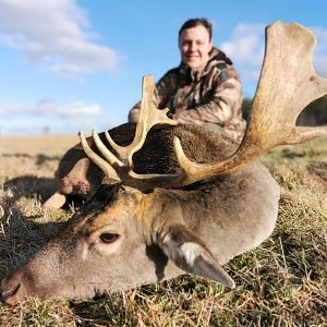 Hunt Fallow Deer