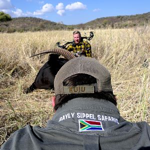South Africa Bow Hunting Sable