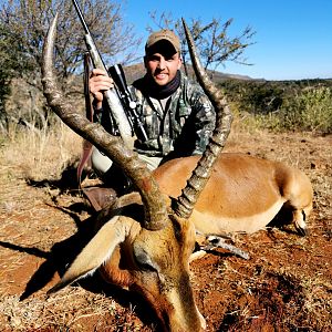 Sable Antelope Hunt South Africa