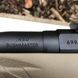 Ruger American Ranch Rifle in 450 Bushmaster
