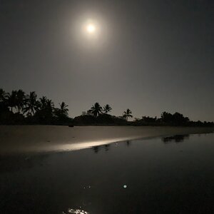 Costa Rica Beach by moonlight